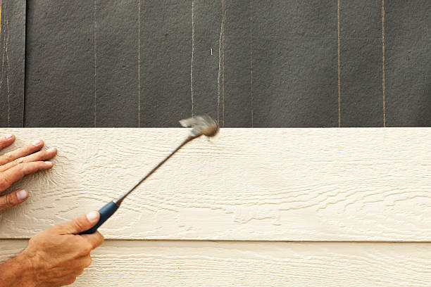 Best Siding Replacement  in Whiteriver, AZ